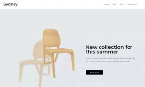 Chia sẻ Theme Wordpress bán hàng miễn phí đẹp nhất 2023